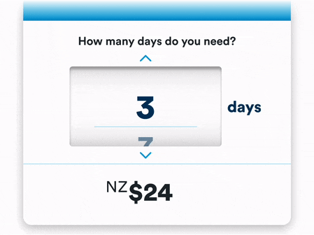 Travel SIM day dial - GIF file Travel SIM day dial - GIF file