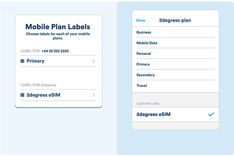 Illustration showing that you can choose how to label your plans for eSIMs