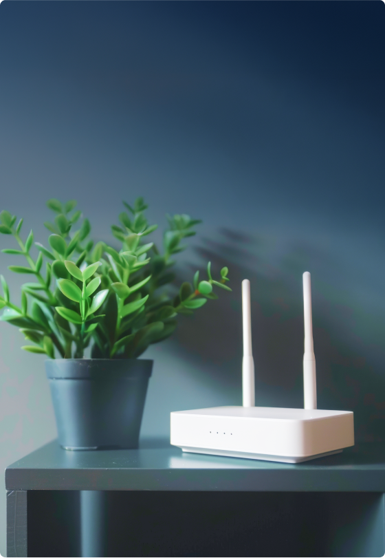 Image of a broadband modem sitting on a table with a indoor plant beside it